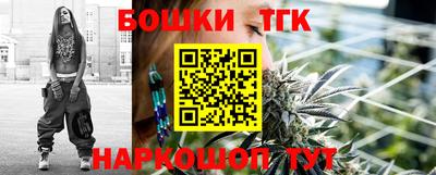 индика Вышний Волочёк