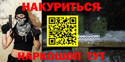 индика Вышний Волочёк