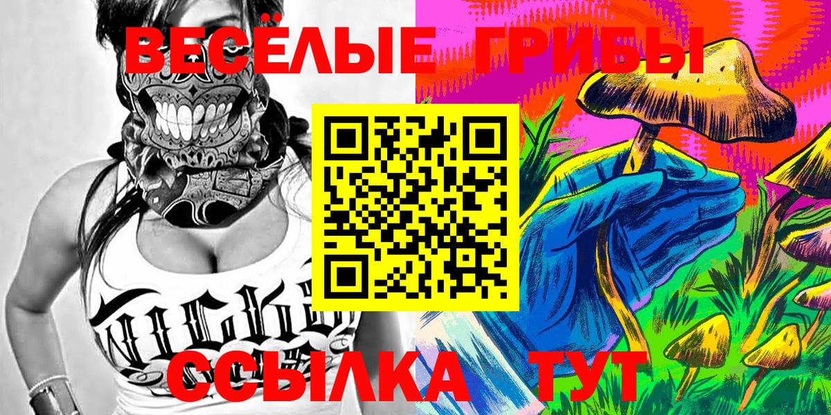 Псилоцибиновые грибы мицелий  где найти наркотики  Янаул  Галлюциногенные грибы прущие грибы  Вход с VPN 